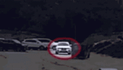 此日驾货车正在巴塞罗那兰布拉斯大道抵触触犯